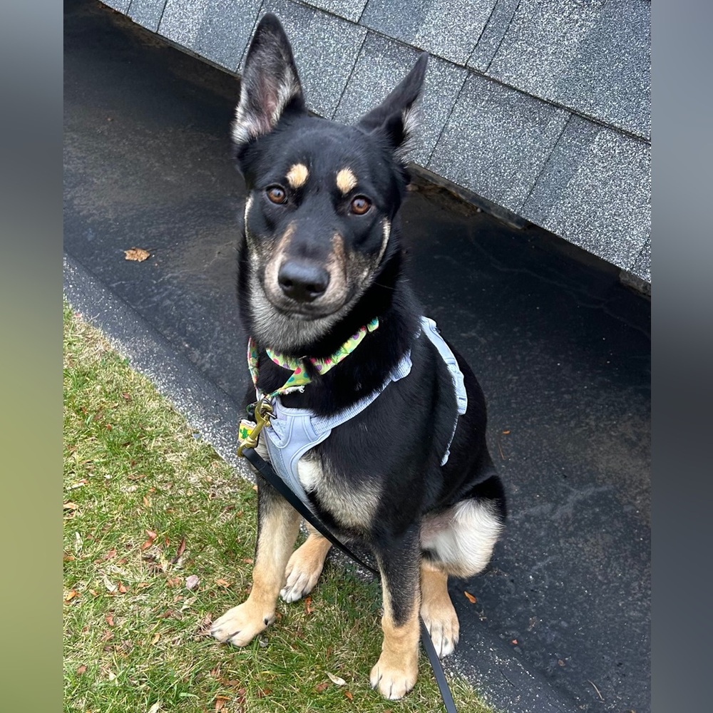 Meet your Posher, Ana - Picture 14 of 16